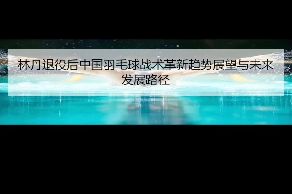 林丹退役后中国羽毛球战术革新趋势展望与未来发展路径