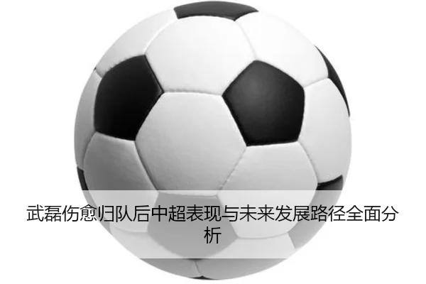 wu-lei-shang-yu-gui-dui-hou-zhong-chao-biao-xian-yu-wei-lai-fa-zhan-lu-jing-quan-mian-fen-xi-2-668.jpg