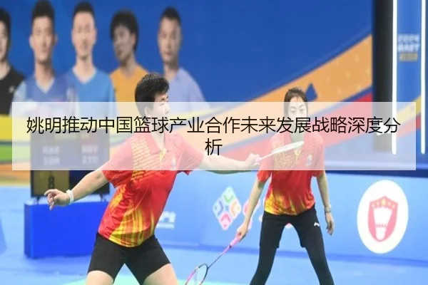 yao-ming-tui-dong-zhong-guo-lan-qiu-chan-ye-he-zuo-wei-lai-fa-zhan-zhan-lve-shen-du-fen-xi-2-269.jpg