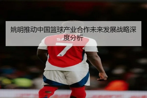 姚明推动中国篮球产业合作未来发展战略深度分析