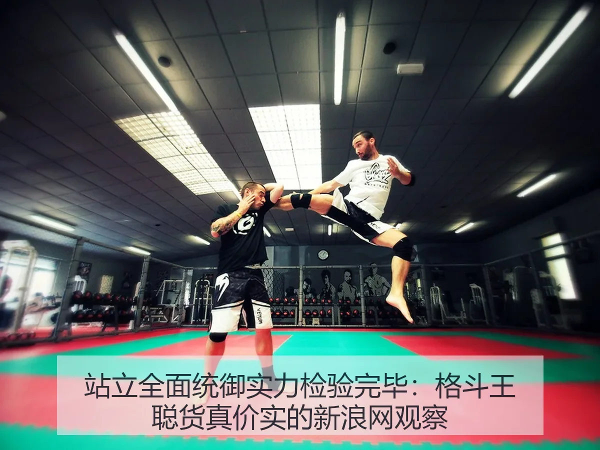 站立全面统御实力检验完毕：格斗王聪货真价实的观察